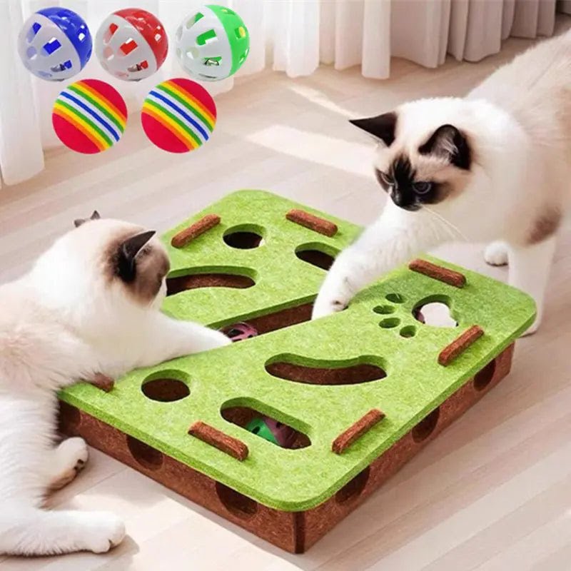 Juguete Laberinto de Fieltro para Gatos con 5 Bolas